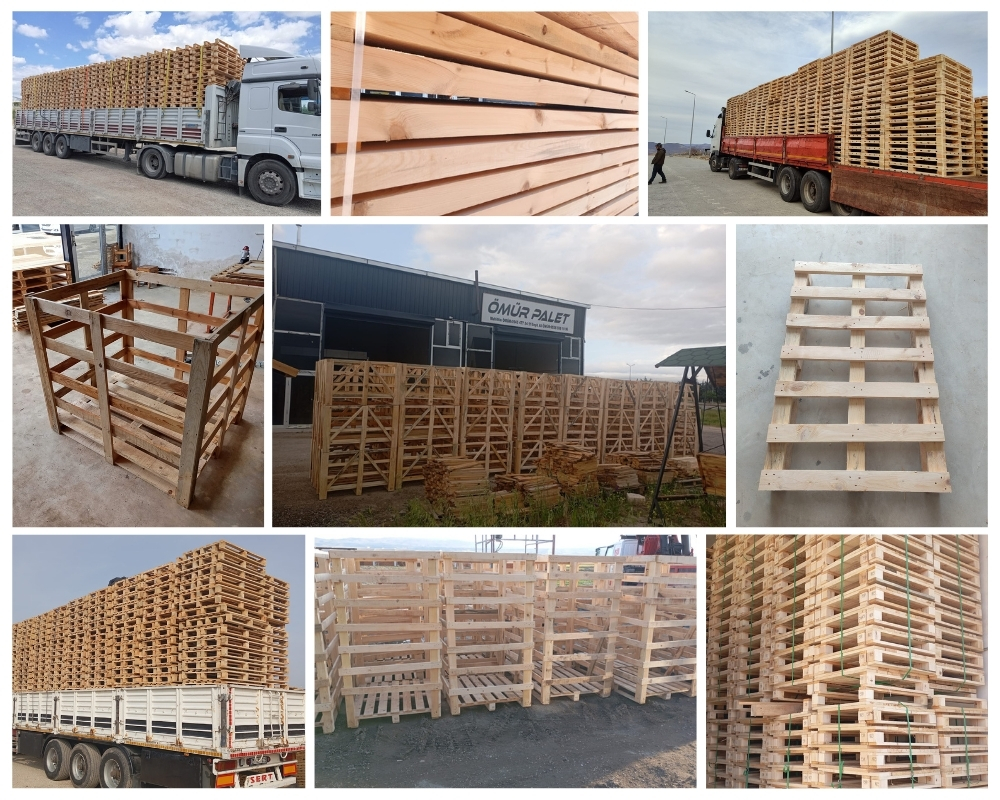 Sint Pancras Houten Kisten, Europallets Groothandel Kopen